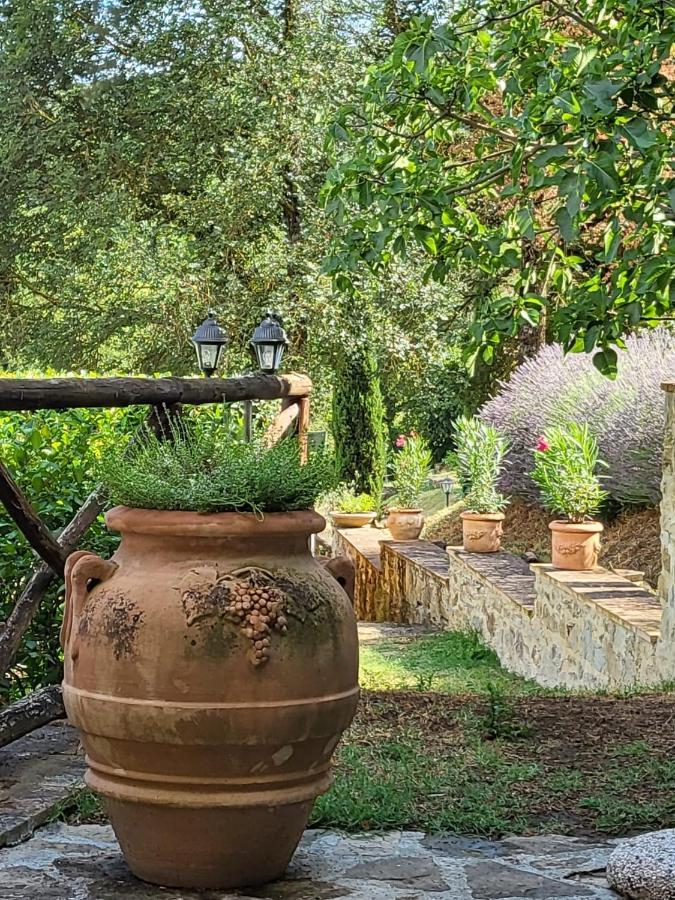 Luxury 1-Bedroom House With The Pool In Tuscany. Anghiari Exteriör bild