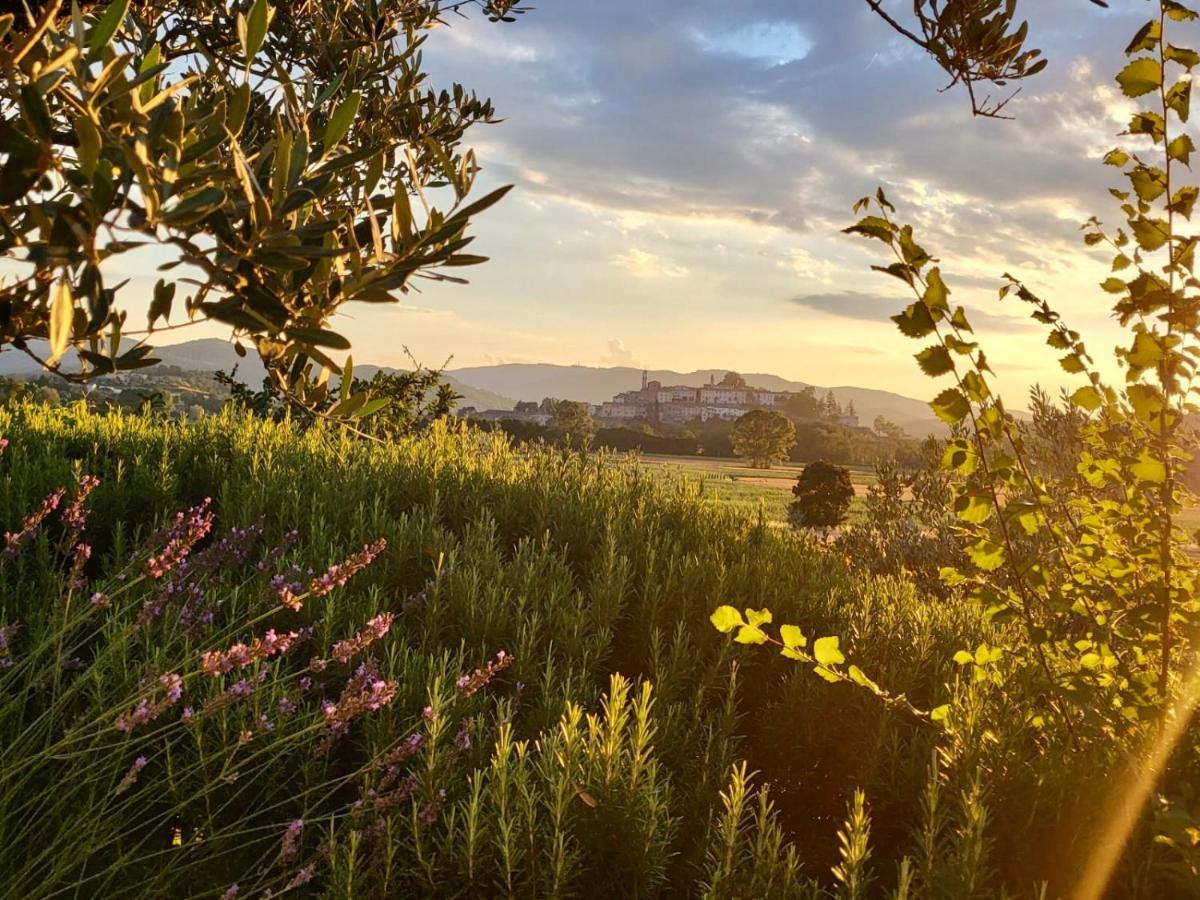 Luxury 1-Bedroom House With The Pool In Tuscany. Anghiari Exteriör bild