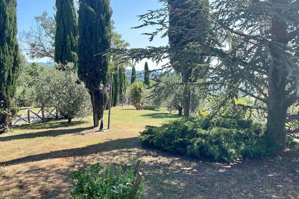 Luxury 1-Bedroom House With The Pool In Tuscany. Anghiari Exteriör bild