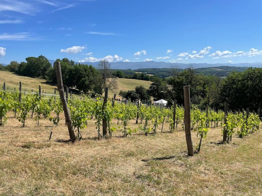 Luxury 1-Bedroom House With The Pool In Tuscany. Anghiari Exteriör bild
