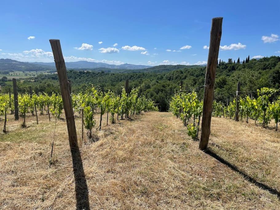 Luxury 1-Bedroom House With The Pool In Tuscany. Anghiari Exteriör bild