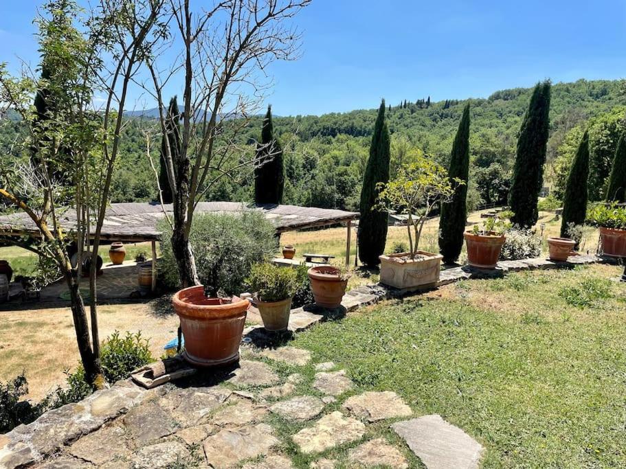 Luxury 1-Bedroom House With The Pool In Tuscany. Anghiari Exteriör bild