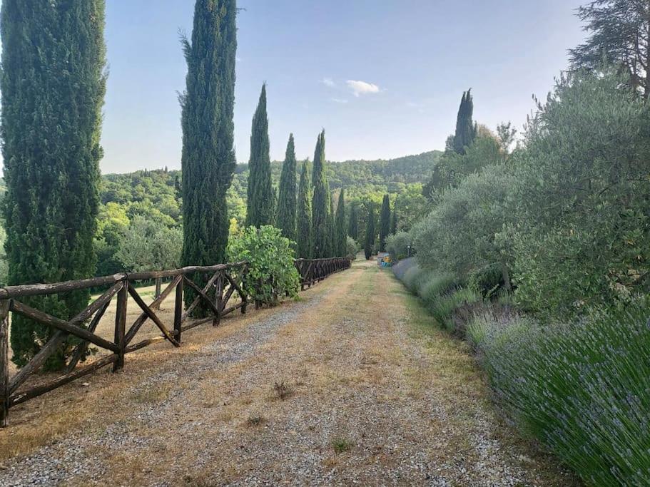 Luxury 1-Bedroom House With The Pool In Tuscany. Anghiari Exteriör bild