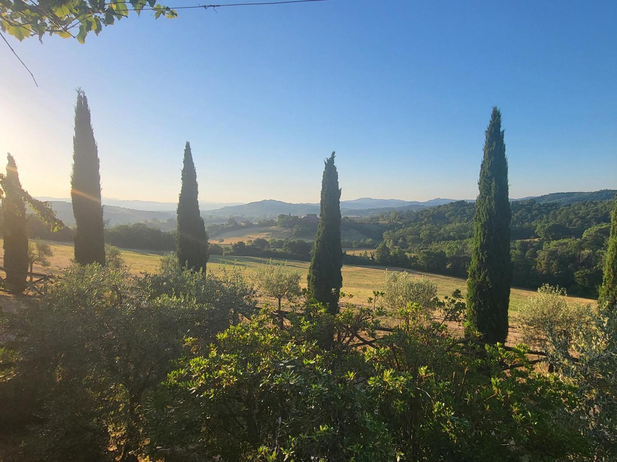 Luxury 1-Bedroom House With The Pool In Tuscany. Anghiari Exteriör bild
